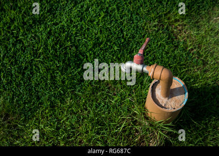 Robinet dans la pelouse Banque D'Images