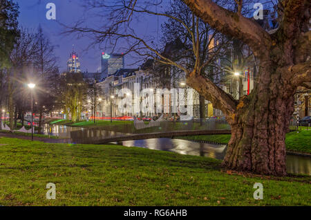 Rotterdam, Pays-Bas, le 14 janvier 2019 : un vieux platane, une pente herbeuse et un pont piétonnier à travers le canal bleu pendant la Westersingel Banque D'Images