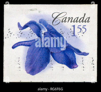 Timbre du Canada Vous y trouverez dans la fleur (2e série) publié en 2006 Banque D'Images