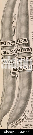 . Burpee's farm 1893 annuel. Pépinières (Horticulture) Pennsylvanie Philadelphie catalogues ; graines de plantes ornementales ; catalogues, catalogues, catalogues de graines de fleurs. . Veuillez noter que ces images sont extraites de la page numérisée des images qui peuvent avoir été retouchées numériquement pour plus de lisibilité - coloration et l'aspect de ces illustrations ne peut pas parfaitement ressembler à l'œuvre originale.. W. Atlee Burpee Company ; Henry G. Gilbert Pépinière et du commerce de semences Catalogue Collection. Philadelphie, P. A. : W. Atlee Burpee &AMP ; Co. Banque D'Images