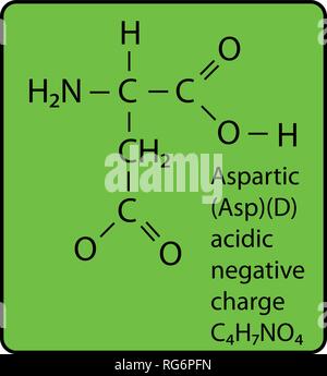 Molécule d'acide aminés aspartique structure squelettique Illustration de Vecteur