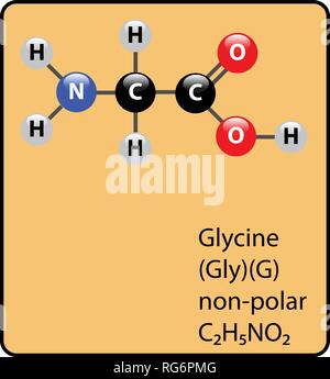 Molécule d'acide aminé Glycine Ball et Structure Stick Illustration de Vecteur