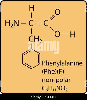 Molécule d'acide aminé phénylalanine structure squelettique Illustration de Vecteur
