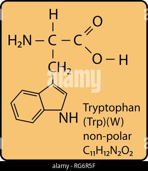 Molécule d'acide aminé tryptophane structure squelettique Illustration de Vecteur