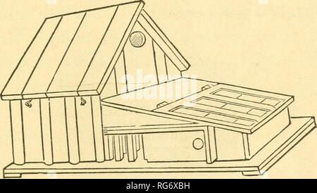 . Le nouveau livre de Burnham de volaille. La volaille. Un TRAITÉ PRATIQUE SUR LES OISEAUX. 113 au fond, où le seuil reste sur morceaux carrés de plank, 15 pouces de large et de long, fixé sur le dessus des piles (projection de pierre ou de bois) comme indiqué sur le dessin. À partir de cette fondation, le BHI plus étroit s'élargit à chaque côté, à l'avant-toit. Il peut être construit de l'embarquement, montant et descendant, et grand, toit et tous. Une fenêtre à lattes, ou aveugle, au-dessus de la porte avant, améliore son apparence. Aucune étape n'est nécessaire, à moins qu'il est préférable d'avoir un vol suspendu sur charnières, pour mettre en place, lorsqu'aucun Banque D'Images