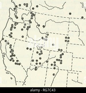 . Bulletin - United States National Museum. La science. Musée national des États-Unis 32 268 BULLETIN Lytton ; ?, Minnie Lake ; 9, Nicola ; cf, Oliver ; 2 ? 9, 14cf fc, Robson, 9, Saanich ; 3cf &lt;f, Salmon Arm ; 2fc Fc, Sidney ; cf, Soda Creek ; 9, l'île de Vancouver ; 9, TC, Vernon ; 299, c ?- Victoria ; 299, Wiclef. Manitoba : &lt;f, Wawanesa ; 2d^ (f, Yale. Saskatchewan : cf, tête d'Indien. UNITED STATES : Arizona : cf, Grand Canyon, Bright Angel Point ; 9 Grand Canyon, le lac marais ; 9, 3 cf c ?, Jacobs Lake ; 9, Nat Kaibab. La forêt. Montana : 299, 4fc Fc, Helena ; d", Lolo Nat. Forêt ; cf, Moose Lake, comté de Ravoli ; 9 Banque D'Images