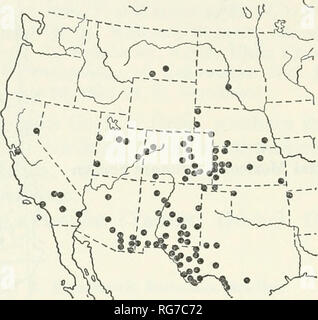 . Bulletin - United States National Museum. La science. 24 BULLETIN DU MUSÉE NATIONAL AMÉRICAIN 268 et vers le sud jusqu'à San Luis Potosi et San Bias, non. Il est enregistré au nord jusqu'au Montana et à l'ouest de la côte de Californie. Un enregistrement de Berkeley, Californie, peut-être ouverte à la question. En altitude il varie de 1 500 à 6 500 ft. Les dossiers des proies.-il me semble étrange que aussi commun que cette espèce est on ne connaît aucun cas où il a été trouvé et les scarabées de nidification utilisés par elle pour les proies sont stiU inconnu. Dossiers d'usine.-Acacia angustissima (Arizona). A. greggii (cat- claw) (Arizona). Aplopappus ( =Haplopappus) Banque D'Images