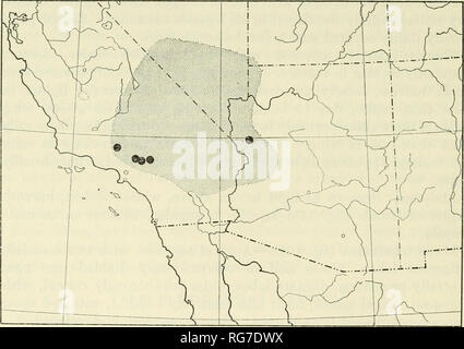 . Bulletin - United States National Museum. La science. 40 MUSÉE NATIONAL DES États-unis 2 55 BULLETIN DE L'ovipositeur arrondis, serrulate. L'oviducte, dépassant considérablement allongé la durée des apophyses. La sortie du canal à Bursa, postérieure à l'oviducte spermathèque, comme dans T. yuccasella. Type.-Lectotype (désigné par l'auteur), 9, Mojave, Californie, 4 février 1891, par C. C. Riley, USNM 416 ; dans le United States National Museum, localité type.-Mojave, Kern Co., Californie, (lectotype). L'hôte enregistré.-«hrevifolia Yucca Engelmann," Riley, 1892a. Les alésages de larve dans les graines de plantes hôtes. Distribution (carte 3).-Pr Banque D'Images