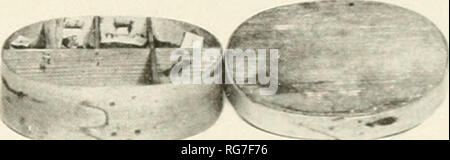 . Bulletin - United States National Museum. La science. La figure i.-Médecine et échelles. bo ovale d'herbes médicinales utilisées par le Dr Solomon Drowne pendant la Révolution. Conservée au musée de Fort Ticonderoga, New York. Les Britanniques détruits comme le reste qu'ils pouvaient trouver.* Deux jours après la bataille de Lexington et c'.oncord, le Congrès provincial a ordonné que l'homme et l'être mis à disposition pour le transport des médicaments. Le 30 avril, Andrew Craigie a été nommé pour prendre soin de ces magasins médicaux et de les livrer à la commande. Fournitures médicales ont été une source d'anxiété pour la Provin Banque D'Images