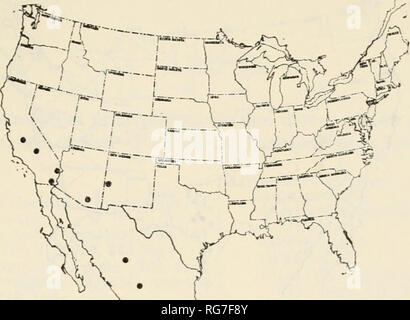 . Bulletin - United States National Museum. La science. ceropalini ceropalinae tribu : 271. Figure 160.-Localités pour Ceropales neomexicana. En Californie, le 26 mai 1912, J. C. Bridwell (Washington). 5cf, experiment station farm, Imperial County, Californie, l'Alay, 1911 mai 1912, Mai 26 et 29, 1912 et juin 1912, J. C. Bridwell (Washington), FC, 9, Owens River, Californie, le 5 août 1915, C. H. Kennedy (Ithaca), d", 39, Wood Lake, comté de Tulare, en Californie, 5 avril et 25, 26 mai et 25 juin 1947, Norman W. Frazier (Berkele}^). cf, Luna, N. Mex., 3 août 1935, I. J. Cantrall (Ann Arbor), fc, 15 km à l'est de Somb Banque D'Images