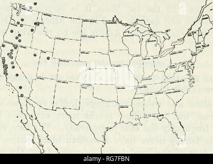 . Bulletin - United States National Museum. La science. 248 NATIONAL BULLETIN IVIXJSEUM 209 Springs, Comté de San Francisco, Santa Cruz, Sobre Vista dans le Comté de Sonoma, la fraise, les tamales Bay, puits, et Wildcat Canyon au comté de Contra Costa) ; New York (Moscou) ; Nevada (puits), l'Oregon (lac de cratère, Crescent, Diamond Lake dans le comté de Douglas,- à 3 750 ft., et Eugène), Utah (Provo) ; et Washington (Nelsons, Pullman, Steverson, et Yakima). Dates de collecte sont de Mar, 15 à Mill Valley, comté de Marin, en Californie, pour le 23 octobre à San Francisco, Californie La plupart sont en Juin, Juillet, Août et Septembre Banque D'Images