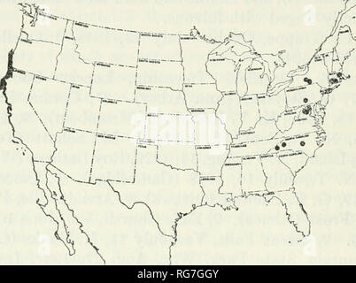 . Bulletin - United States National Museum. La science. 136 NATIONAL MUSEUM BULLETIN 209 spécimens : 9, canton, Conn., 20 août 1936, B. J. Lemaître (Wash) Washington-. 9, East Hartford, Conn., 11 septembre 1948, H. E. Evans (Evans). 9, Glen Echo, Md., 16 juin 1919, Fouts (Washington). 9, Holliston, Massachusetts, 14 août N. Banks (Cambridge). 9, dans les bois, Ithaca, N. Y., le 18 juin 1947, H. E. Evans (Evans). 39, à fleurs de Pastinaca sativa, Ithaca, N. Y., 5 et 6 juillet 1947, H. E. Evans (Evans). 9, Ithaca, N. Y., le 19 septembre 1940, J. N. Belkin (Ithaca). 9, Farmingdale, N. Y., 1er août 1938, H. et M. Townes Banque D'Images