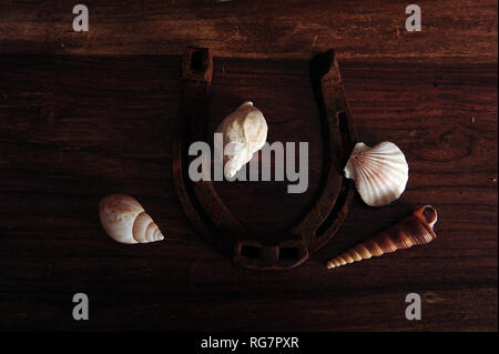 Photo horizontale avec copie espace d'old rusty horseshoe et les coquillages sur la table en bois. Banque D'Images