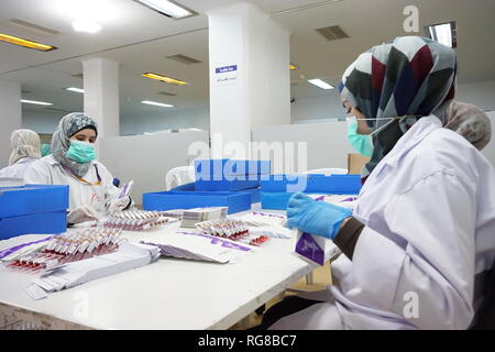 (190128) -- DAMAS, le 28 janvier 2019 (Xinhua) -- photos prises le 13 décembre 2018 les travailleurs montre l'emballage Les produits pharmaceutiques à l'usine pharmaceutique de diamants dans la campagne de Damas, capitale de la Syrie. Malgré les longues années de guerre et de sanctions de l'Ouest, l'industrie pharmaceutique en Syrie est en convalescence, couvrant 90 pour cent de la demande nationale. Rapports locaux dit 5 000 pharmacies et 24 usines pharmaceutiques arrêté service pendant la guerre. Mais le ministère de la santé en Syrie tenu de fournir pour la facilitation des usines qui sont encore en service afin de répondre à la demande de la Banque D'Images