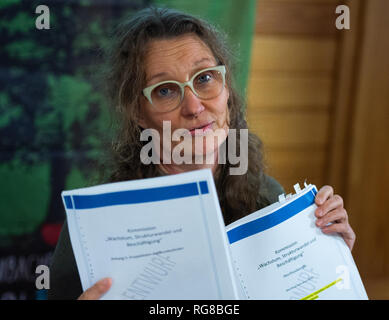 Buir, Allemagne. 28 janvier, 2019. Antje Grothus, membre de la Commission du charbon et des intervenants de la région, tient une conférence de presse dans un hôtel de ville et présente une ébauche du rapport final de la Commission "Croissance, les changements structurels et de l'emploi". Au cours de la conférence de presse, le rapport de la Commission a été l'objet de commentaires. Credit : Christophe Gateau/dpa/Alamy Live News Banque D'Images