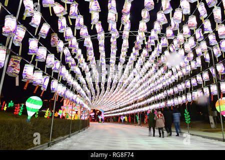 Shenyang, Chine. 28 janvier, 2019. La lanterne foire est tenue à Shenyang, Liaoning Province du nord-est de la Chine, marquant la nouvelle année lunaire à venir. Crédit : SIPA Asie/ZUMA/Alamy Fil Live News Banque D'Images