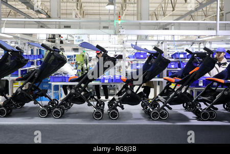 Beijing, Chine, province de Jiangsu. 24 Jan, 2019. Les membres du personnel travaillent sur la ligne d'assemblage de Goodbaby Group Co., une compagnie basée à produits parenting Kunshan, Jiangsu Province de Chine orientale, le 24 janvier 2019. Credit : Xue Jacinthem/Xinhua/Alamy Live News Banque D'Images