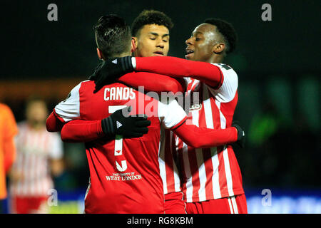 Londres, Royaume-Uni. 28 janvier, 2019. Ollie Watkins de Brentford Crédit : célèbre avec ses coéquipiers après avoir marqué son premier but de l'équipe. L'Unis FA Cup 4ème tour, Barnet v Brentford FC à la ruche Stadium à Edgware, Londres le lundi 28 janvier 2019 . Cette image ne peut être utilisé qu'à des fins rédactionnelles. Usage éditorial uniquement, licence requise pour un usage commercial. Aucune utilisation de pari, de jeux ou d'un seul club/ligue/dvd publications. Credit : Steffan Bowen/Andrew Orchard la photographie de sport/Alamy Live News Banque D'Images