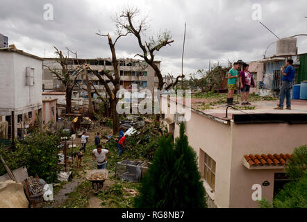 La Havane, Cuba. 28 janvier, 2019. Nettoyer les Cubains le comté de Regla après une tornade fait des ravages. Une violente tornade sur Cuba le dimanche soir (heure locale) 27.01.2019 coûte au moins trois personnes de leur vie. Un autre 172 personnes ont été blessées, a déclaré le président Miguel Díaz-Canel sur Twitter. Le district urbain de Regla dans la capitale La Havane a été particulièrement touché. Credit : Eliana Aponte/dpa/Alamy Live News Banque D'Images