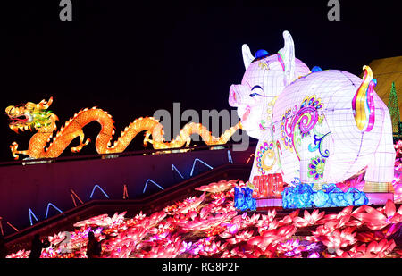 Shenyang, Chine. 28 janvier, 2019. La lanterne foire est tenue à Shenyang, Liaoning Province du nord-est de la Chine, marquant la nouvelle année lunaire à venir. Crédit : SIPA Asie/ZUMA/Alamy Fil Live News Banque D'Images