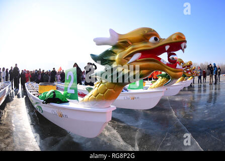 La société Shenyang Blower, la Chine. 28 janvier, 2019. 14 Les équipes participent à la course de dragon sur le lac gelé à Shenyang, Liaoning Province du nord-est de la Chine. Crédit : SIPA Asie/ZUMA/Alamy Fil Live News Banque D'Images