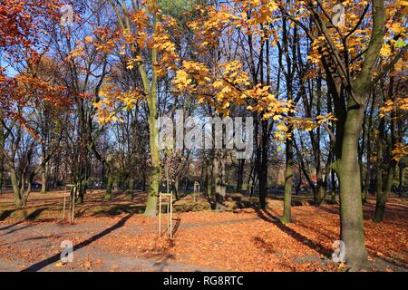 Couleurs d'automne en octobre. Pologne - ville sentier du parc à Bytom. Banque D'Images