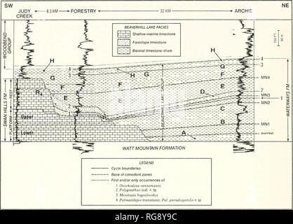 . Bulletins de la paléontologie américain. Bulletin 156 369. Texte-figure 5.-stratigraphique représentatif de l'Beaverhill Lake Groupe dans la Pan American Home Archie 4-1-66-SW5 bien dans le complexe récifal de Judy Creek (bien 4-35-63-11W5). T-R limites cycle correspondent à la base de matières radioactives à intervalles réguliers sur le gamma ray de sciage. La section illustre le parallélisme des T-R cycle et des limites des zones de conodontes. Voir Texte-fig. 2 pour l'emplacement du transect. Les bases des zones des conodontes, norrisi et MN 1 à 4 MN, sont marqués. Les chiffres 1 à 4 de la marque seulement et/ou la première occurrenc Banque D'Images