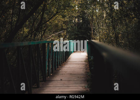 Pont de bois en forêt Banque D'Images