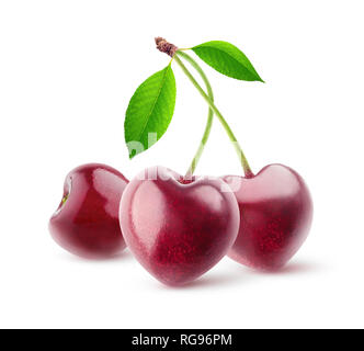 Les baies isolées. Paire de fruits cerise en forme de coeur sur une tige isolé sur fond blanc avec clipping path Banque D'Images