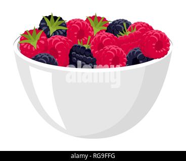 Gros tas de Framboises et mûres dans le bol blanc. Vector illustration isolé sur fond blanc Illustration de Vecteur