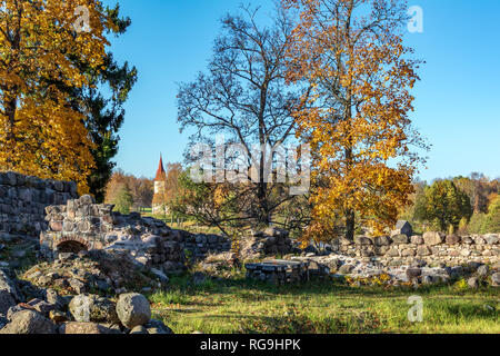 Ruines du château médiéval avec l'église luthérienne de Araisi Archaeological Museum Park, la Lettonie. Le château en pierre a été construit au cours de la période de l'ordre Livonienne Banque D'Images