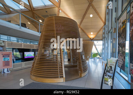 L'intérieur du Living Planet Centre, l'accueil de WWF France (World Wildlife Fund) à Woking, Surrey, avec pods ou zones représentant la diversité des environnements Banque D'Images