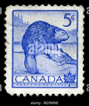 Timbre-poste du Canada dans la région de Wild Life la semaine 1954 series Banque D'Images