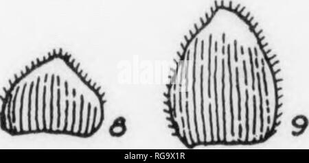 . Bulletin (New York Ministère des Forêts), no. 11. Les forêts et la foresterie. . Veuillez noter que ces images sont extraites de la page numérisée des images qui peuvent avoir été retouchées numériquement pour plus de lisibilité - coloration et l'aspect de ces illustrations ne peut pas parfaitement ressembler à l'œuvre originale.. La Pennsylvanie. Le ministère de la foresterie. Harrisburg, Pennsylvanie : Le ministère : WM. Ray Stanley, l'imprimante de l'état de Pennsylvanie Banque D'Images