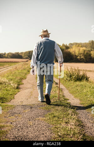 Man avec un bâton de marche, marche dans les champs, vue arrière Banque D'Images