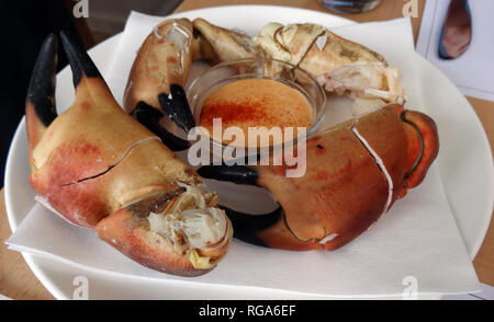 Immense, frais, pinces de crabe comme ceux-ci peuvent être achetés à la célèbre Loch Fyne Oyster Bar sur les rives du Loch Fyne dans l'ouest de l'Écosse. Alan Wylie/Alamy. © Banque D'Images