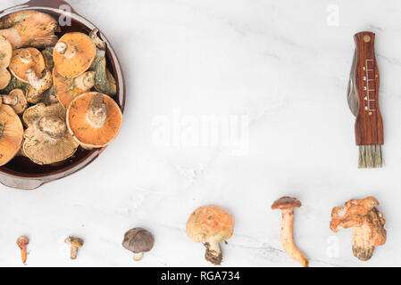 Différents champignons comestibles, vue du dessus sur du marbre Banque D'Images