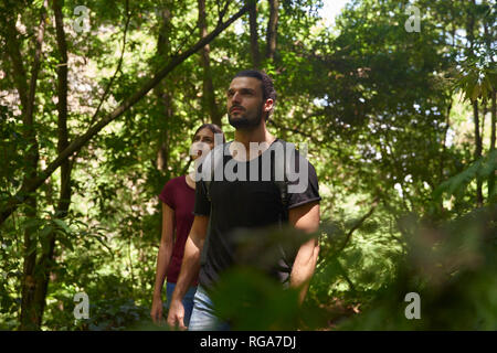 Espagne, Canaries, La Palma, en train de marcher dans une forêt à la recherche autour de Banque D'Images