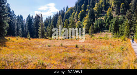 L'Allemagne, en Bavière, à Soellereck Huehnermoos Allgaeu, près d'Oberstdorf, un adolescent sur sentier nature Banque D'Images