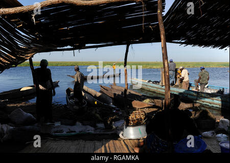 La Zambie Rhône Mongu, Mulamba Harbour à fleuve Zambèze / plaine SAMBIA Rhône , Stadt Mongu , Hafen Mulamba dans der Fluss Zambèze des Flutebene Banque D'Images