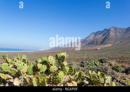 Plage de Cofete et belle vue sur montagne de Jandia, Fuerteventura, îles Canaries, Espagne Banque D'Images