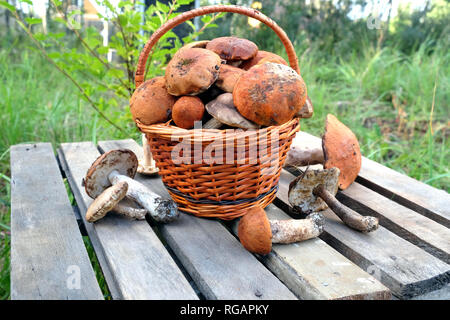 La vie toujours avec beaucoup de champignons comestibles dans brown panier en osier sur gros plan de table en bois table en bois. Vue de face à l'extérieur contre l'herbe verte close up Banque D'Images