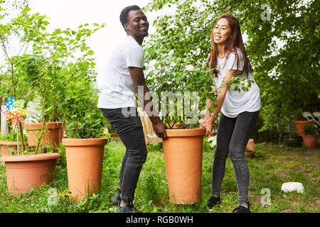 Jeune couple ensemble multiculturel porte un semoir dans le jardin le jardin Banque D'Images