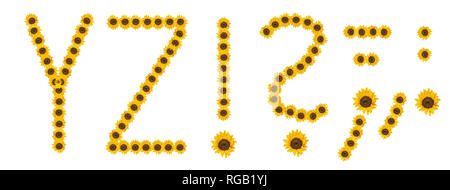 Grandes fleurs couleur haute résolution/fleur/jeu de caractères Lettre Y Z et de ponctuation construit à partir de fleurs de tournesol, macros, fond blanc Banque D'Images
