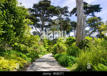 6 mai 2018 San Francisco / CA / USA - sentier de marche dans le jardin botanique situé dans le Golden Gate Park Banque D'Images