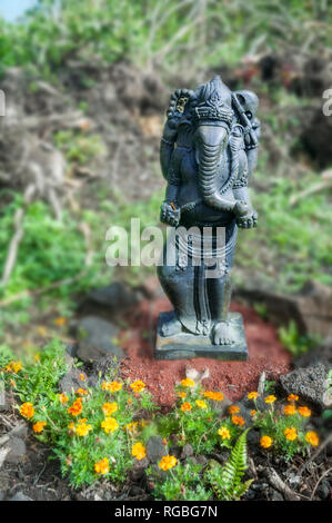 Statue d'un comité permanent, le dieu indien Ganesha avec une tête d'éléphant, considéré comme un signe de bonne chance, at a popular Airbnb, Big Island, Hawaii, USA. Banque D'Images