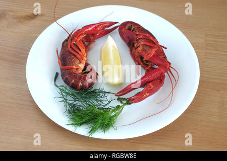 Deux couleur rouge écrevisse préparés avec de l'aneth et citron isolated on white plate top view close-up Banque D'Images