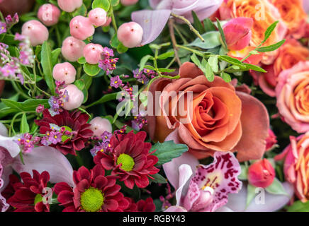 Arrière-plan de diverses fleurs de couleurs différentes, close-up Banque D'Images
