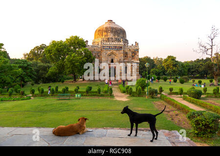 L'Inde, Delhi, New Delhi, Lodi Gardens, Sheesh Gumbad Banque D'Images