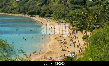 Gros plan de la plage, à l'emplacement de plongée populaire, Hanauma Bay à Hawaï Banque D'Images